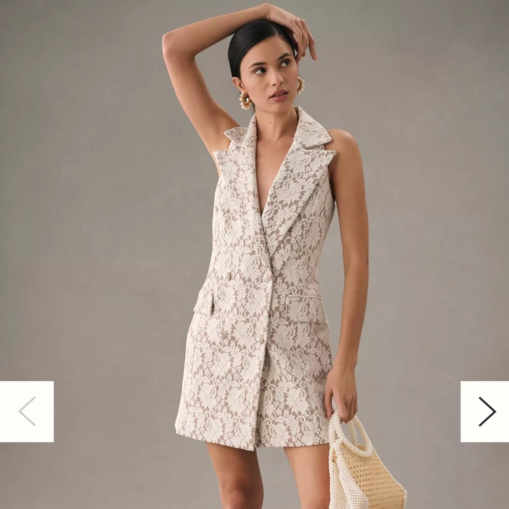 Hutch by Anthropologie Lace Vest Dress in Cream and Brown